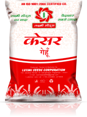 Kesar Wheat